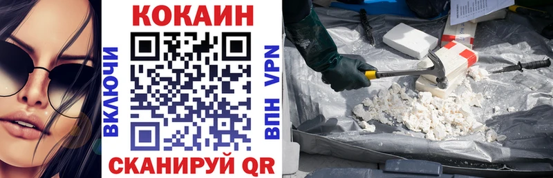 Кокаин Fish Scale  Купить закладки  Рузаевка 